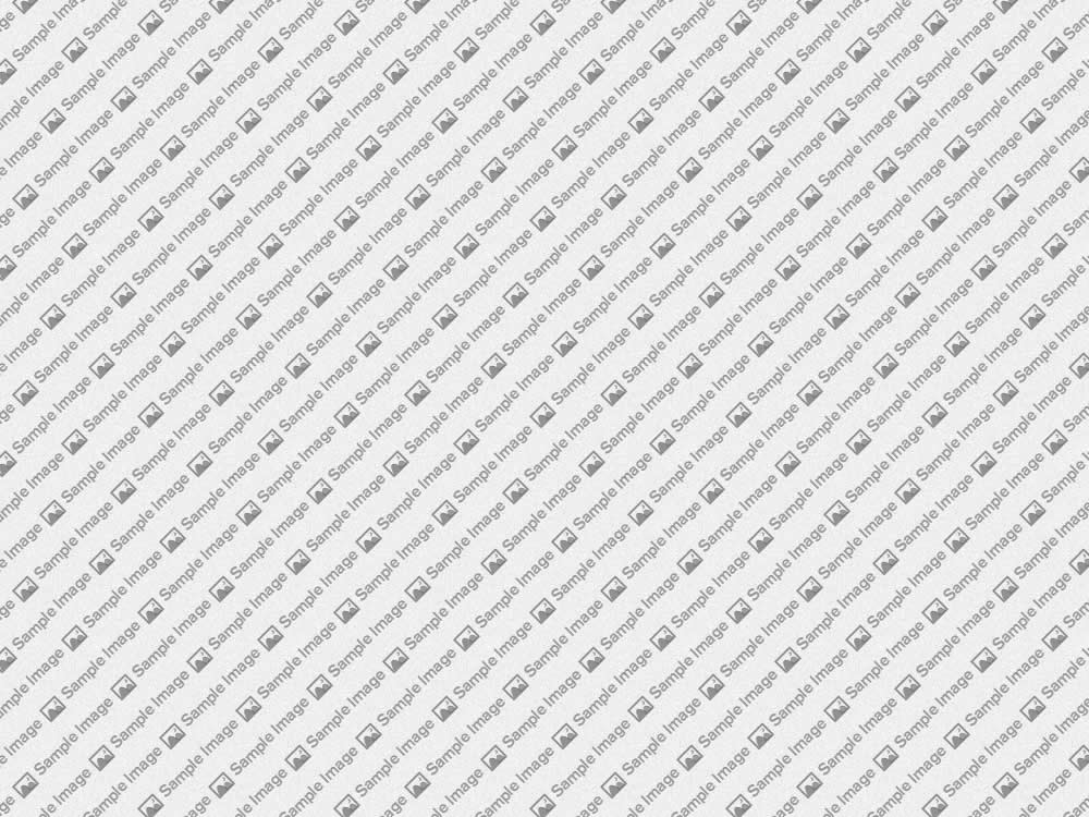/application/Image%204
